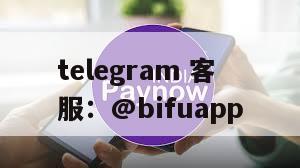 币付Pay：菲律宾支付专家，开启商业新纪元